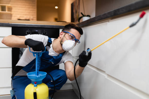Best Rat Extermination Near Me  in Parkway, CA