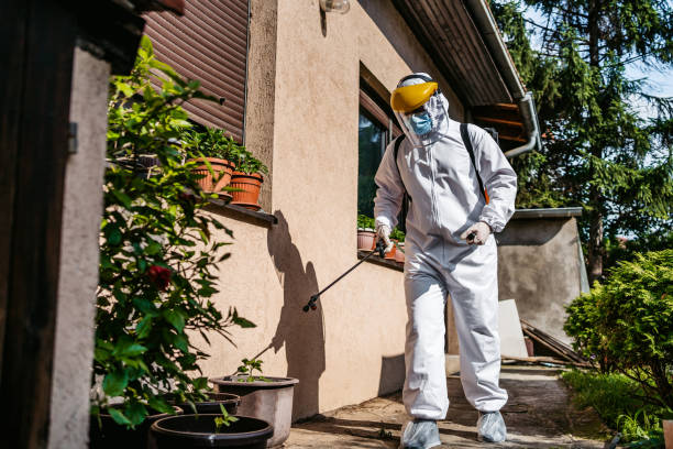 Best Emergency Pest Control  in Parkway, CA