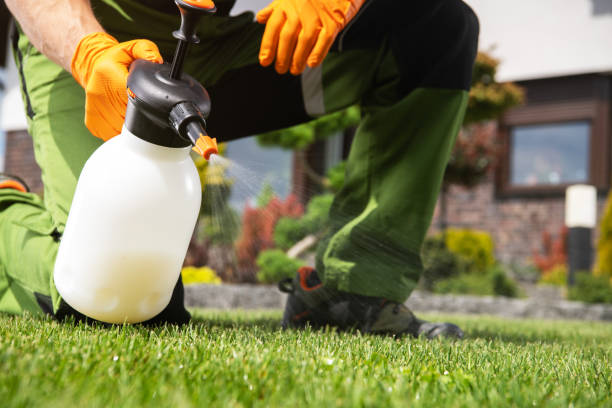 Best Pest Prevention Services  in Parkway, CA