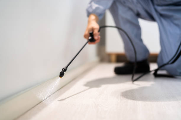Professional Pest Control in Parkway, CA