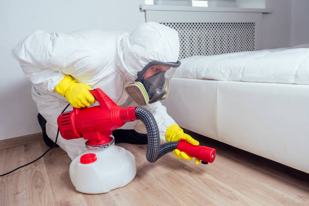 Best Local Pest Control Services  in Parkway, CA