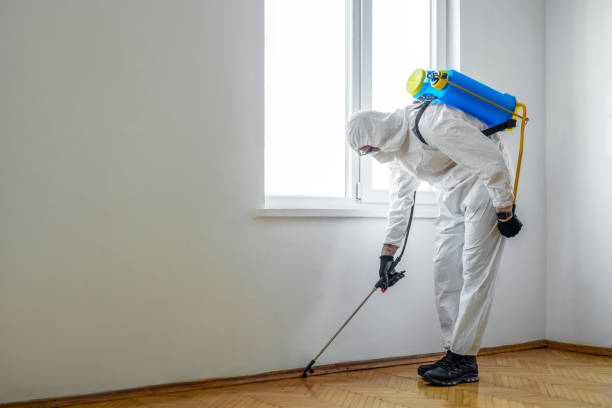 Best Emergency Pest Control  in Parkway, CA