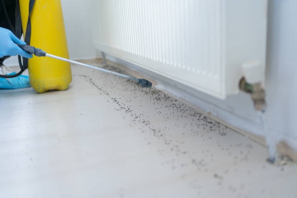 Best Best Pest Control Companies  in Parkway, CA